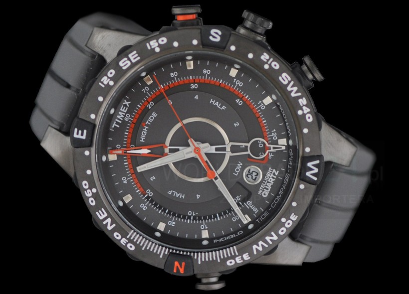 timex t49860