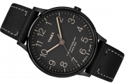 timex tw2p95900